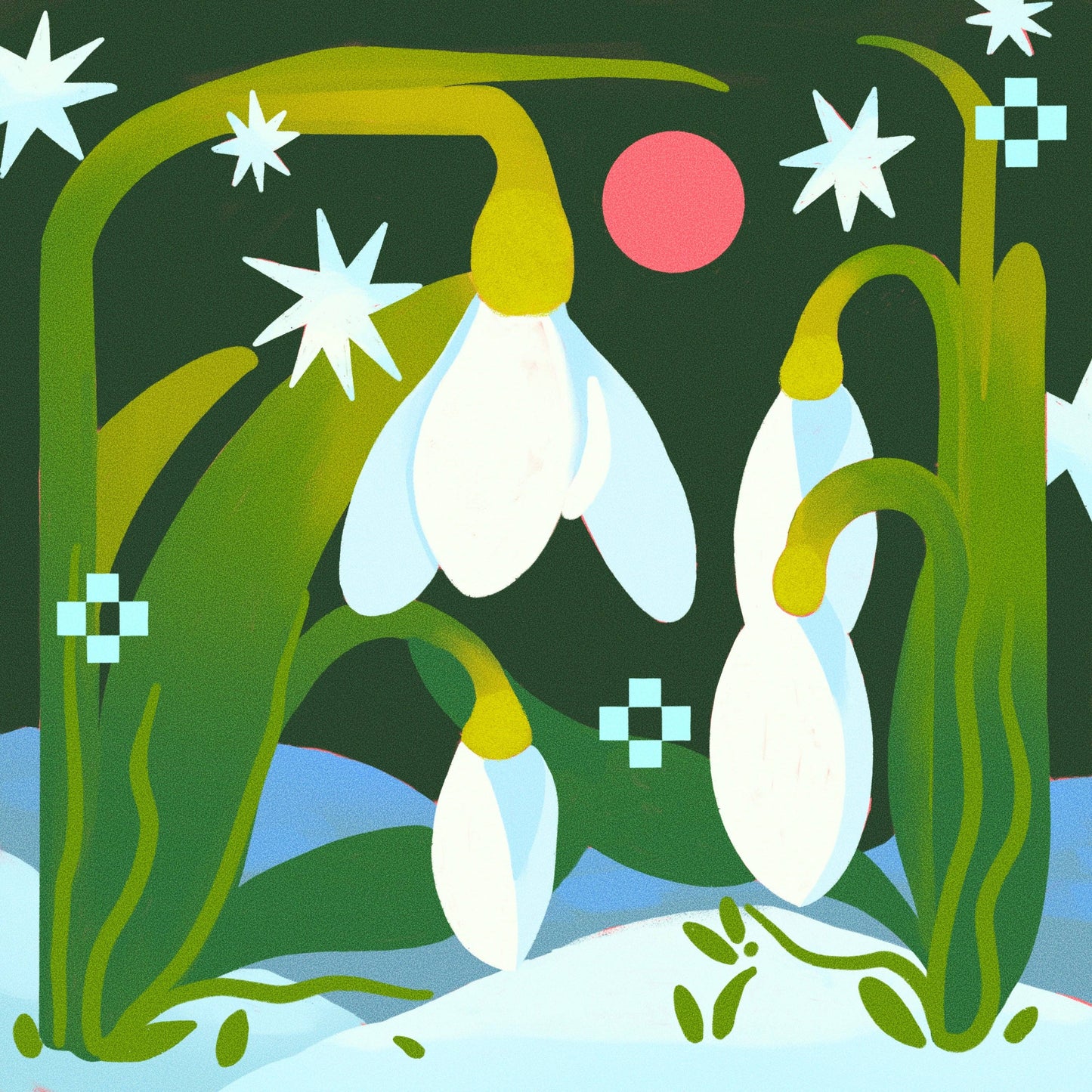 Snowdrops in Spring Print