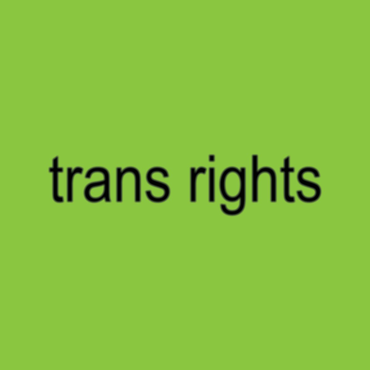 Trans Rights BRAT Pin/Button