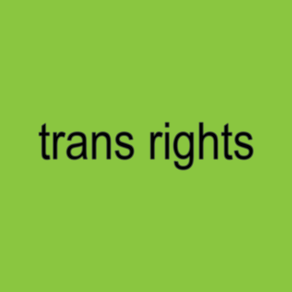 Trans Rights BRAT Pin/Button
