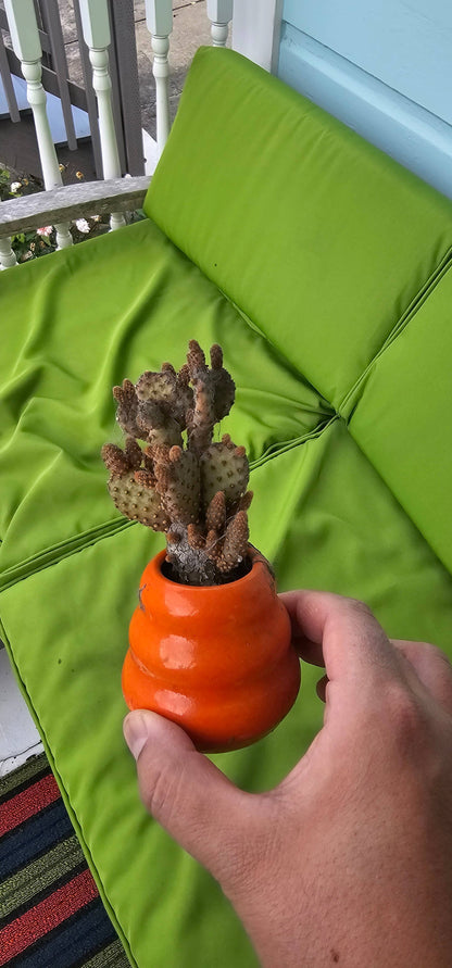 Mud Witch Mini Home Blind Box