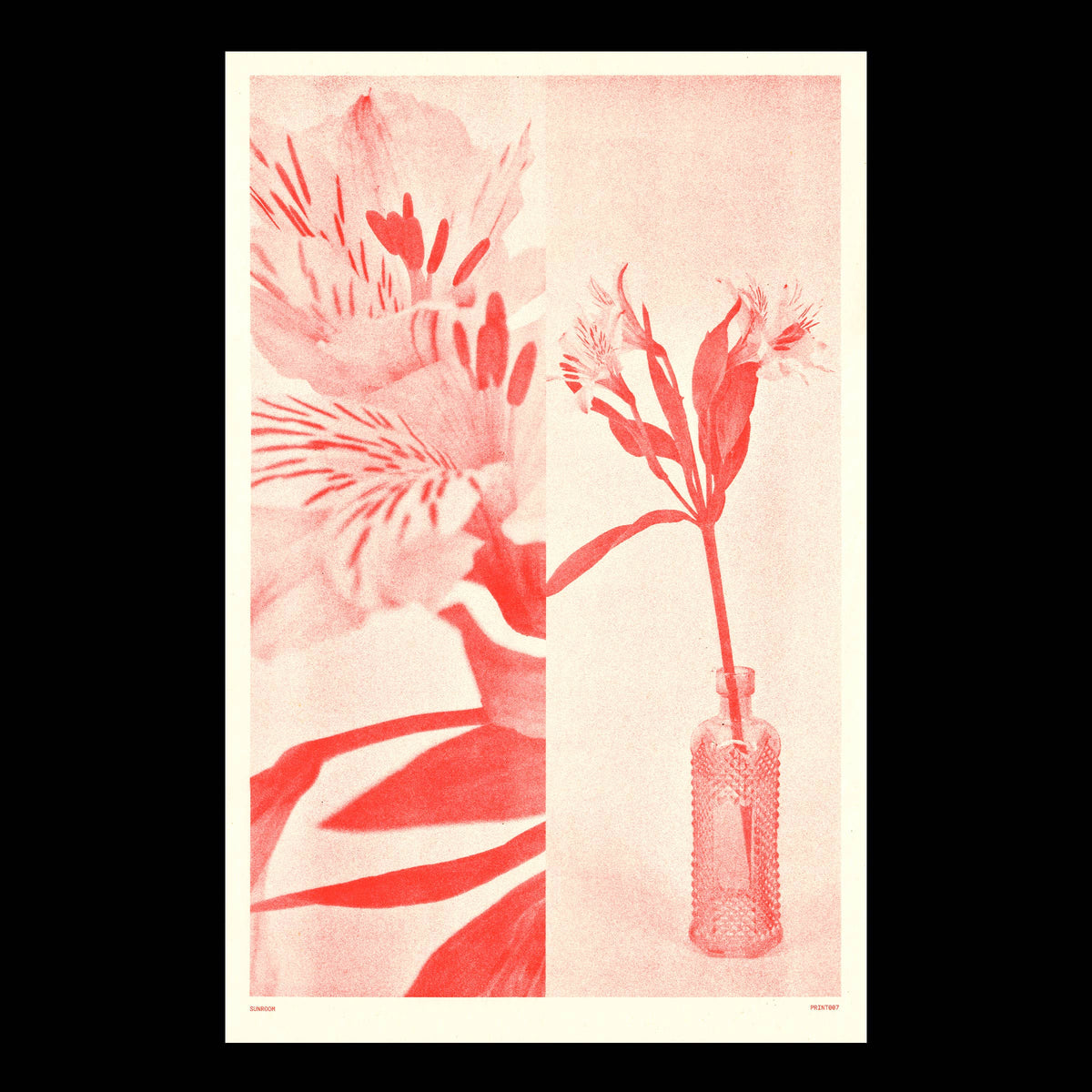 Red Flower Risograph Print