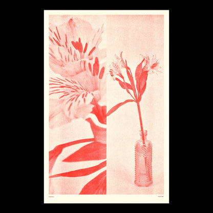 Red Flower Risograph Print