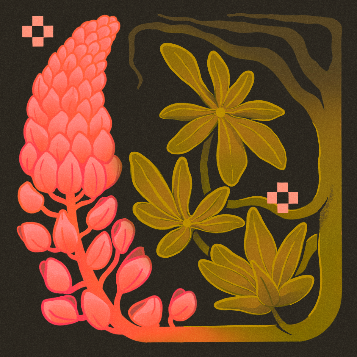 Pink Lupine Print