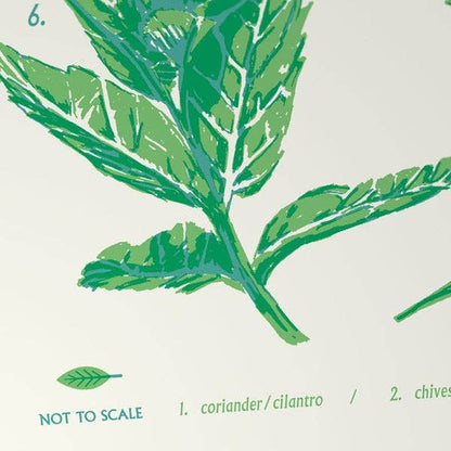 Herbs No. 1